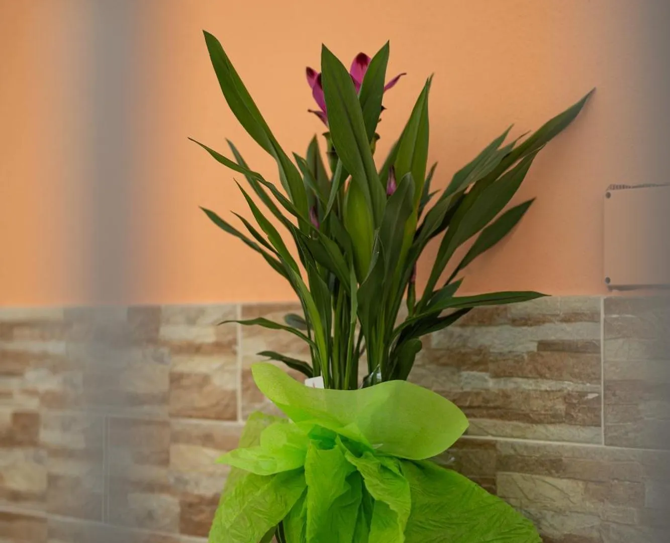 L'Orizzonte Bed & Breakfast Ercolano