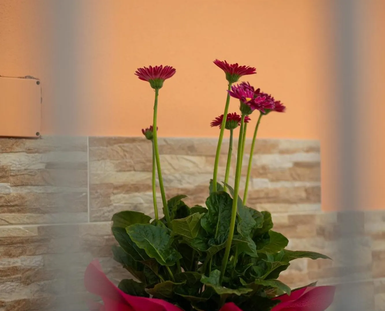 L'Orizzonte Bed & Breakfast Ercolano